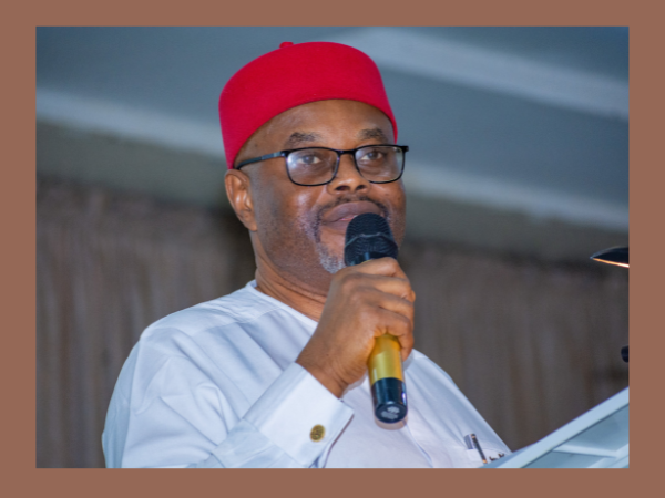 Certificate Forgery: Group demands Nnaji’s resignation