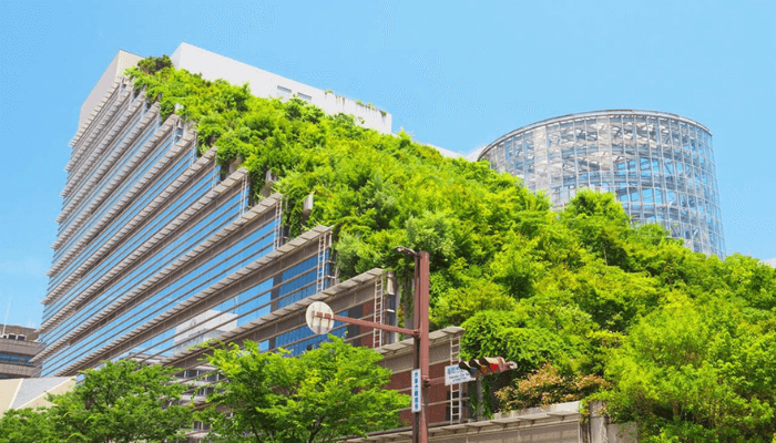 Nigeria advances green building agenda with global ‘Rebuild Our Buildings’ initiative