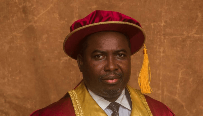 INEC’s new chairman faces voter confidence test