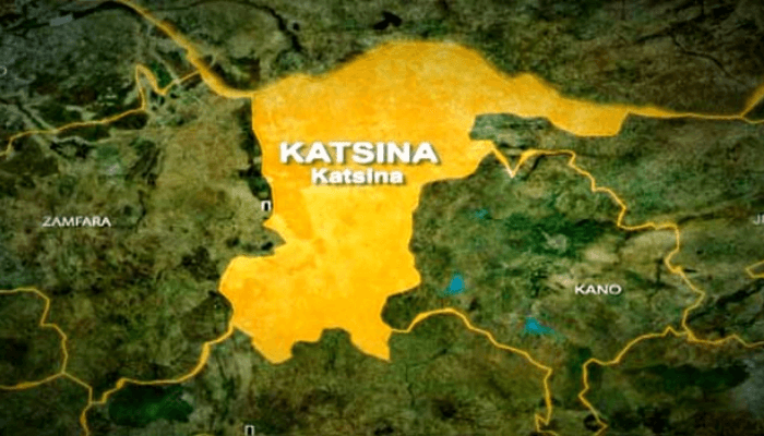 Closure of unlicensed private tertiary institutions impacts Katsina’s IGR – Commissioner