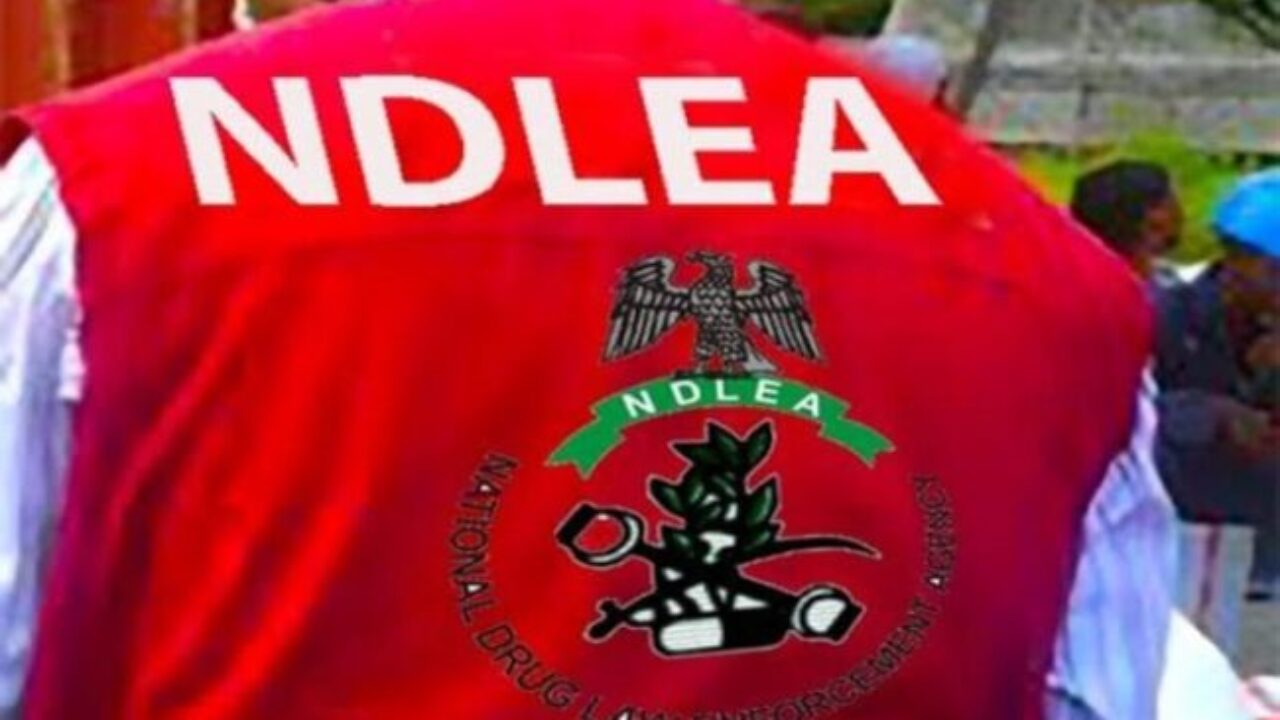 NDLEA smashes cocaine cartels behind six UK-bound shipments