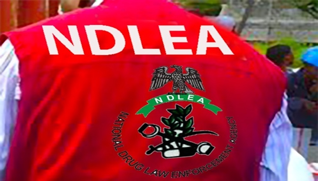 NDLEA smashes cocaine cartels behind six UK-bound shipments