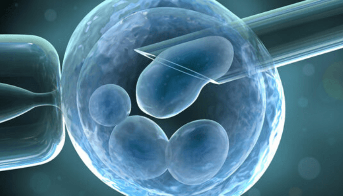 Medical experts proffer solutions to fertility challenge between couples
