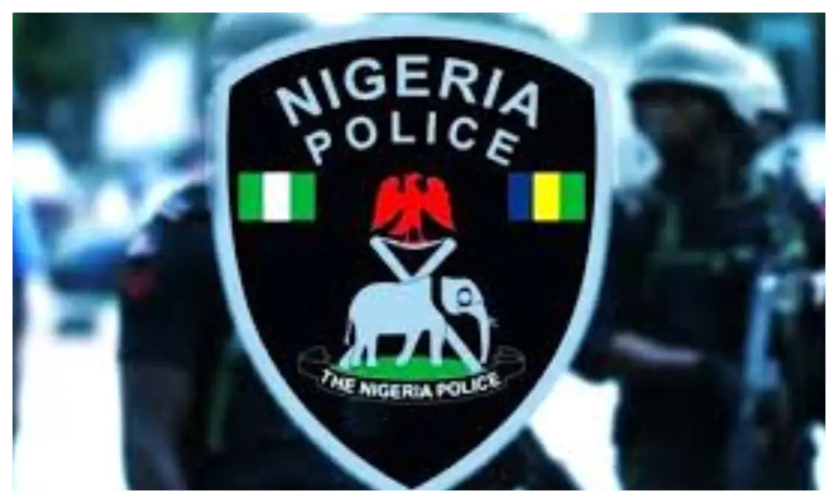 Kano: Police arrest suspect three years after kidnapping village head