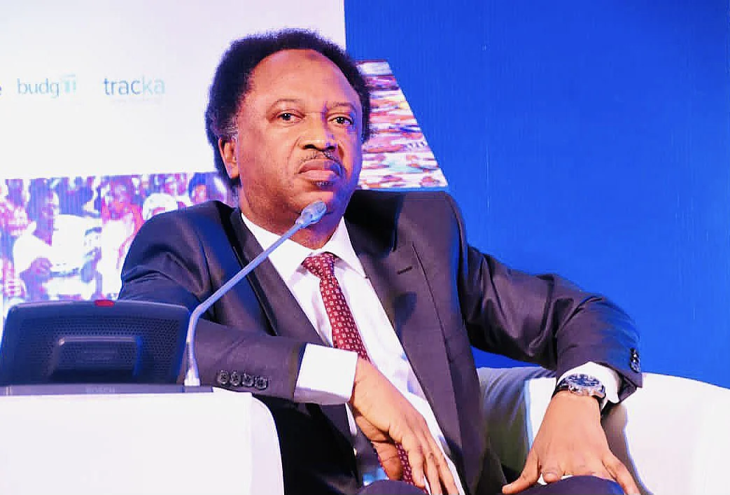 Stop faking degrees, secondary school certificate is enough – Shehu Sani tells politicians