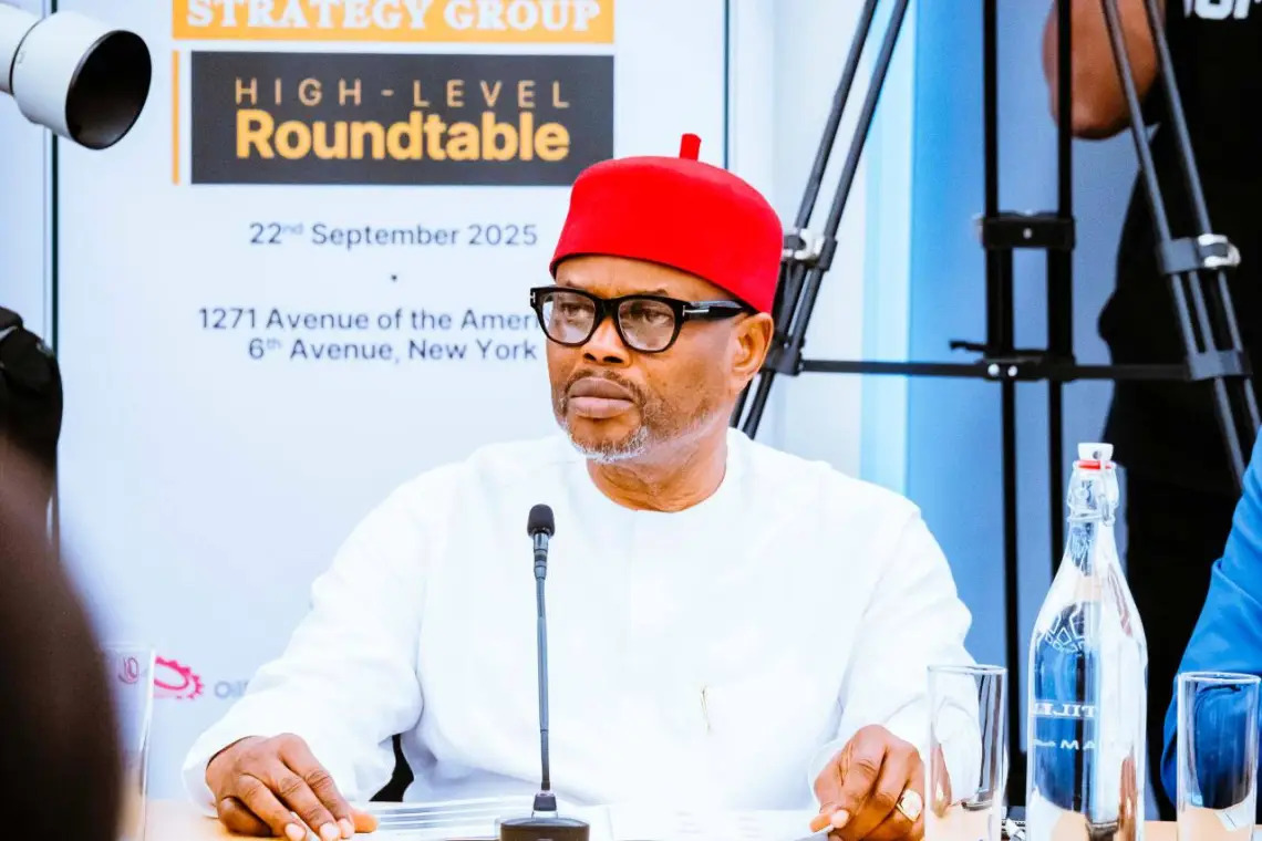 PREMIUM TIMES to sue ex-minister Nnaji’s spokesperson over false bribery allegation