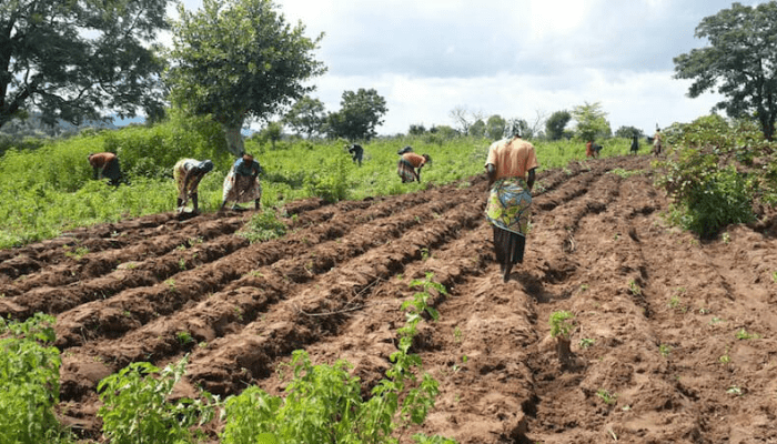 AAD seeks to drive investments, boost agric growth