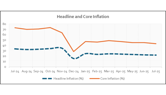 Beyond statistics: Why Nigerians still feel the pinch despite signs of economic stability
