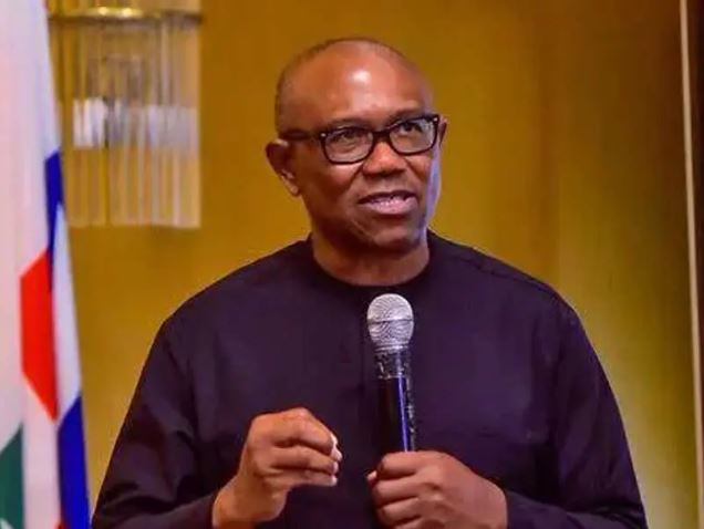 Peter Obi Demands Stern Punishment For Politicians With Forged Academic Certificate
