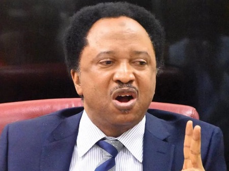 You Don’t Need a Degree For Political Office Only Secondary School Certificate is Enough – Shehu Sani