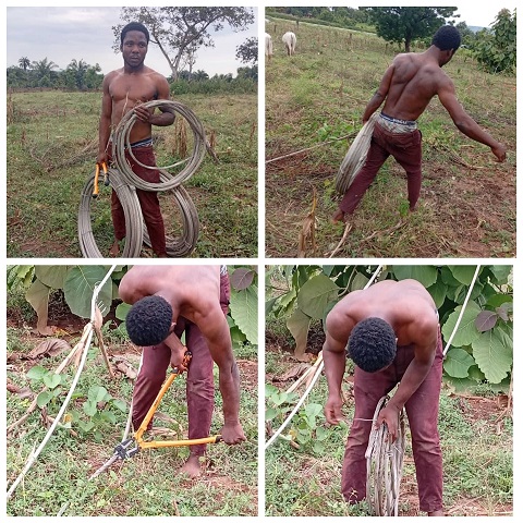 Young Man Arrested While Vandalising High-Tension Cables in FCT