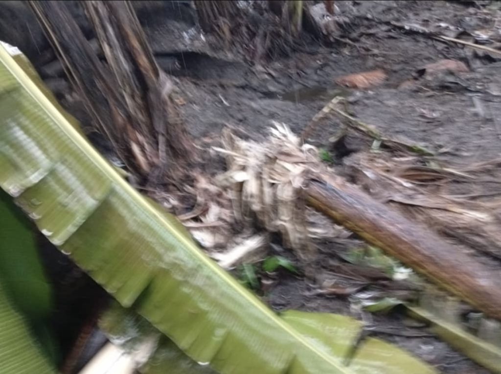 Nigerian Businessman Laments As NAF Destroys Factory Mistaken For Illegal Refinery In Rivers
