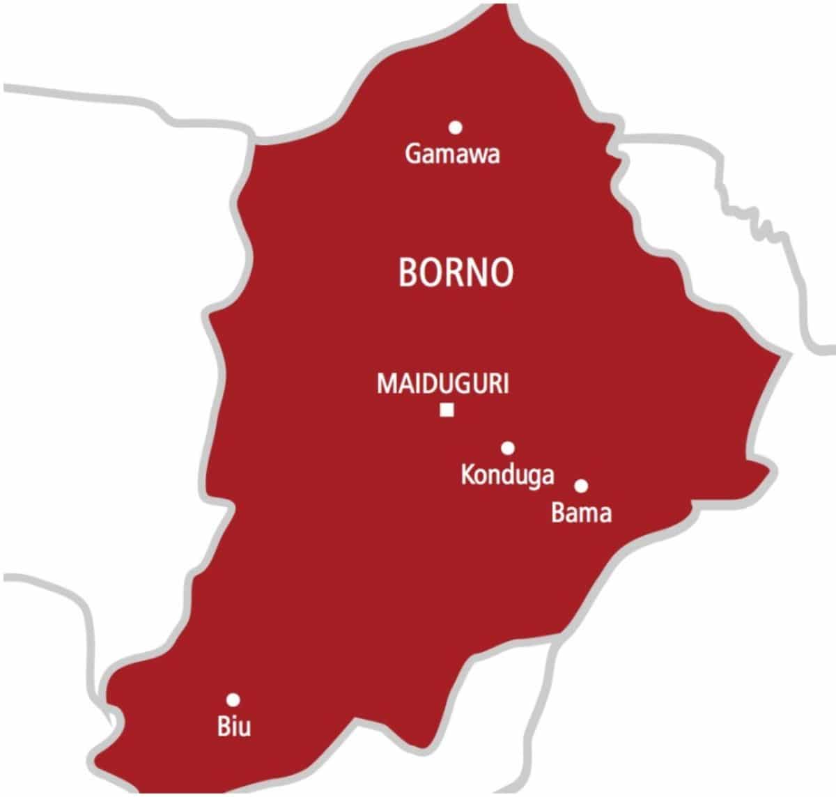 Borno: Suspected herders kill farmer in Monguno over grazing dispute