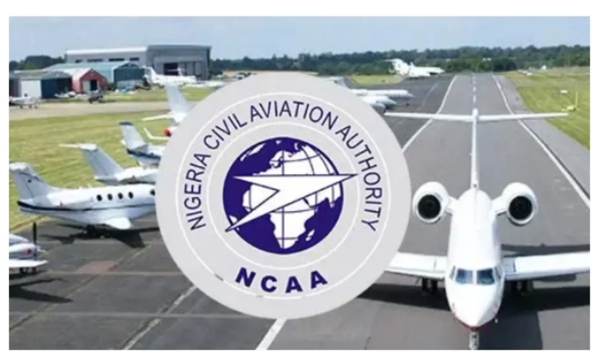 Business: NCAA approves commercial flight operations for Ekiti Cargo Airport