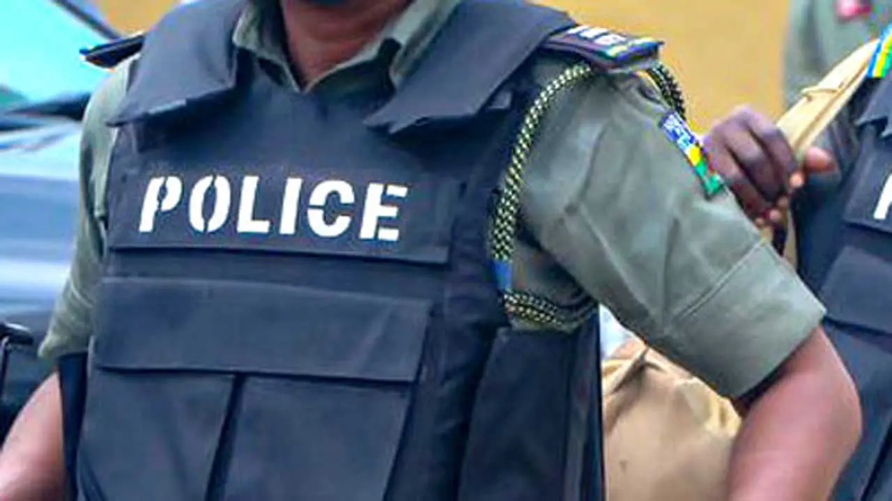Police intercept illicit drugs, recover pistols in Delta